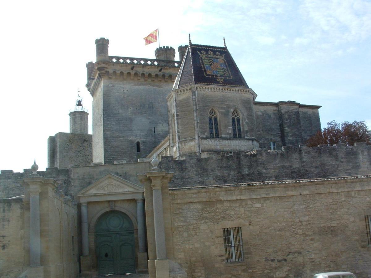 Confortable Villa De Vacances Entre Nimes, Le Pont Du Gard, Uzes, Arles, Avignon マルグリット エクステリア 写真