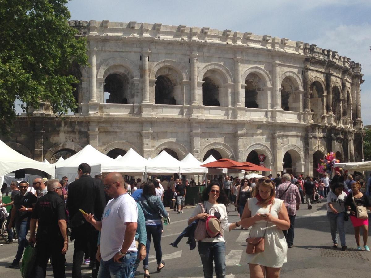 Confortable Villa De Vacances Entre Nimes, Le Pont Du Gard, Uzes, Arles, Avignon マルグリット エクステリア 写真