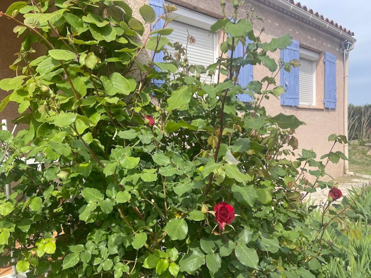 Confortable Villa De Vacances Entre Nimes, Le Pont Du Gard, Uzes, Arles, Avignon マルグリット エクステリア 写真